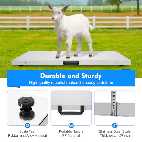 Pet Scale Dog Scales for Large Breed - 660LB Postal Digital Scale - Stainless Steel Platform Heavy Duty Livestock Scale