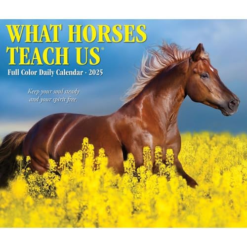Willow Creek Press Calendars, What Horses Teach Us 2025 Desk Calendar