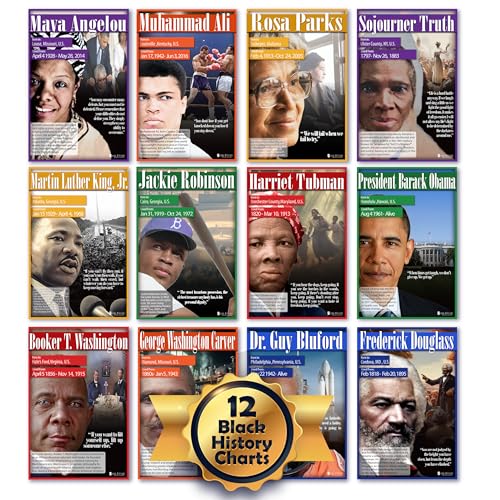 Young N Refined Black History Posters 12 pack school EXTRA LARGE charts Laminated (24x30) USA MADE
