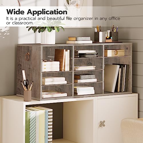 HOOBRO Countertop Mail Sorter Organizer, Wooden Literature Organizer, Student Mailbox for Classroom, Desktop Bill Organizer for Office Home School, 12 Compartments, Greige BG43WF01