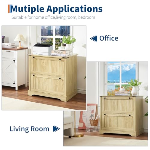 Hoguyexila 2 Drawer Farmhouse Lateral File Cabinet for Home Office