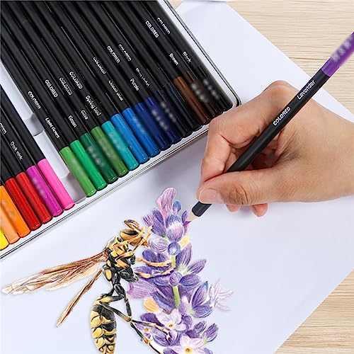 SIDUFHAOPKLL Colour Pencils 24 Iron Box Set Oil Based Art Painting Supplies