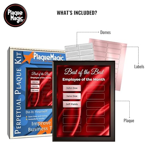 DIY Perpetual Plaque Award Kit | No Engraving Costs | Employee Recognition | Employee of The Month | Employee of The Year | Best of The Best | Achievement Awards (18 Plate, Sun Shining)