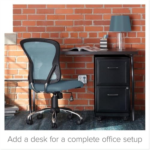 Pemberly Row 2 Drawers 26.7" Vertical Black Metal Filing Cabinet Lockable Pre-Assembled Movable Letter Size for Home, Office