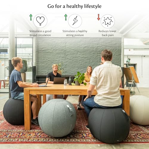 Backerz Balance Ball Chair for Office & Home - Ergonomic Exercise Ball for Posture & Back Pain Relief, Yoga Ball Chair - Sitting Ball with Washable Linen Cover