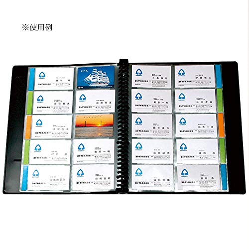 Collect CF-616-BK Business Card File, Black, A4 Size
