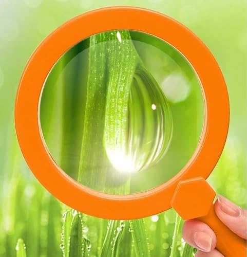 BFKRYP 3X Handheld Reading Magnifier Acrylic Optical Lens Student Learning