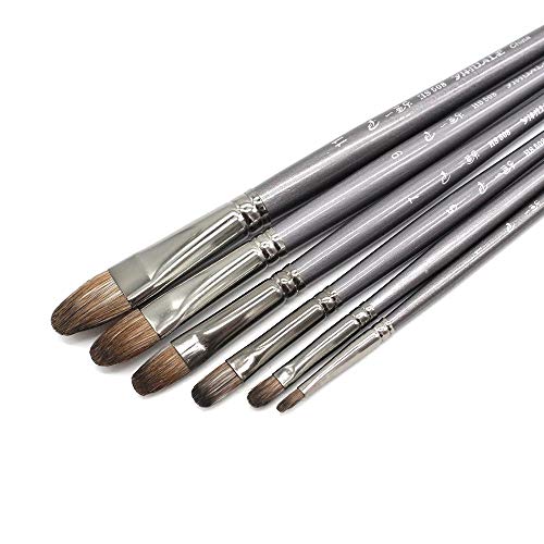 HBJWOV 6 pcs/Set Professional Tool Squirrel Hair Oil Painting Brush Drawing Brush Filbert Pen for Acrylic Painting Art