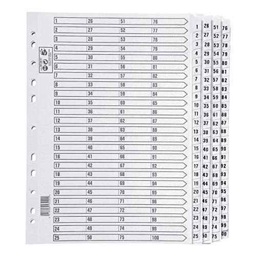 5 Star Index 230 micron Card with Clear Mylar Tabs 1-100 A4 White