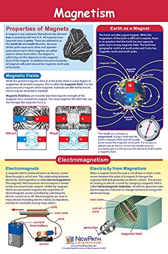 NewPath Physical Science Posters, Set/5 (Forces/Motion, Electricity, Magnetism, Sound, Light) - Laminated, Full-Color, 23" x 35" (34-9901)