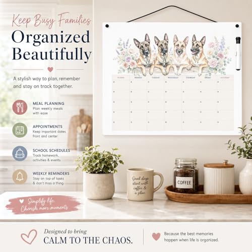 Caroline's Treasures Belgian Malinois Dry Erase Calendar Board, Reusable Monthly Wall Planner with Watercolor Artwork, Dry Erase Board for Home Office Kitchen Organization, 16x12
