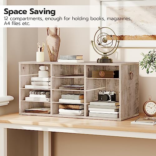 HOOBRO Countertop Mail Sorter Organizer, Wooden Literature Organizer, Student Mailbox for Classroom, Desktop Bill Organizer for Office Home School, 12 Compartments, Greige BG43WF01