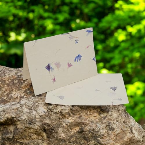 Nepali Cherish Greeting Card & Envelope Box Set, Cornflower, 15 Cards