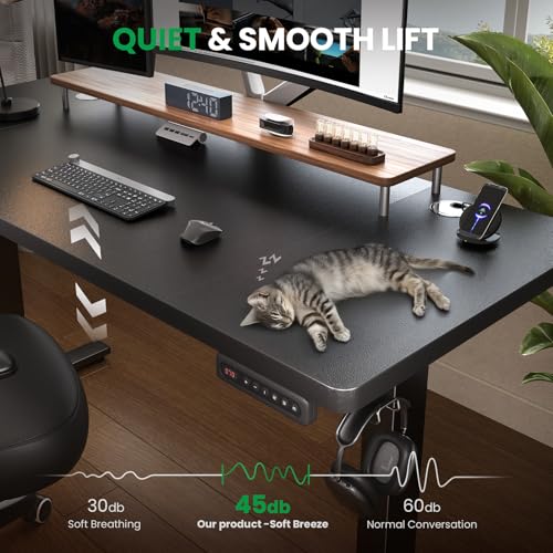 DeskShow Black 47x24 in Electric Standing Desk, 0.8 Inch Thick Tabletop