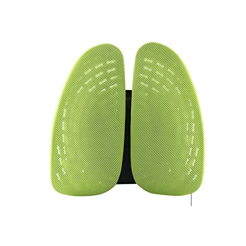 UIOLCFG Soft Memory Foam Seat Chair Lumbar Back Support Cushion Pillow for Office Home Car