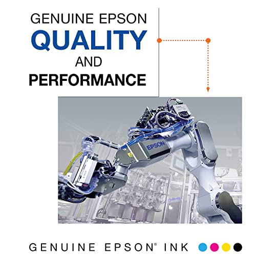Epson 786 Genuine Ink Cartridge XL Black and Standard Color Combo Pack