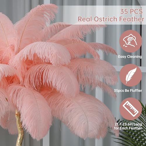 MAYOLA Luxury Resin Ostrich Feather Lamp, 35 Pieces Real Ostrich Feathers,Floor Light for Living Room, Bedroom and Office 67” Tall Feather Lamp(Pink, Floor Lamp)