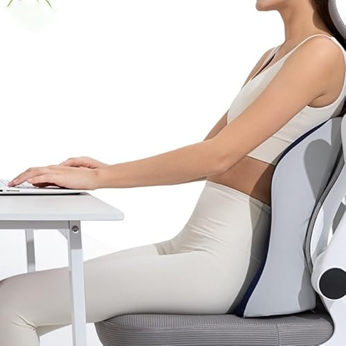 ICWRQLG Lumbar Support Cushion Seat Back Office Prolonged Sitting