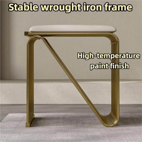 SoOSSN Metal Frame Shoe Changing Stool Soft Cushion Footrest Chair for Office & Living Room Heavy Duty(Black)