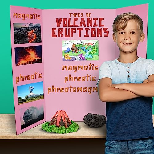 Flipside Products 36” x 48” Project Boards for Presentations, Science Fair, School Projects, Event Displays and Trifold Picture Board, Proudly Made in USA - Pink - 10 Pack