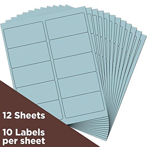 JAM PAPER Shipping Address Labels - Standard Mailing - 2 x 4 - Baby Blue - 20 Packs of 120