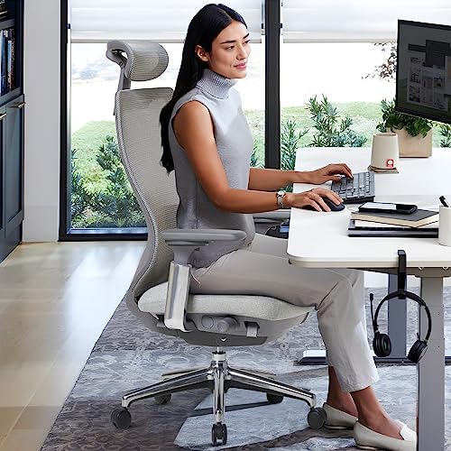 MALOL Ergonomic Mesh Office Chair, High Back Computer Executive Desk Chair with Adjustable Headrest and 4D Arms, Slide Seat, Tilt Lock-Light Grey