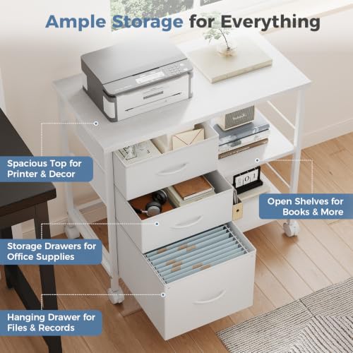DUMOS 3 Drawer Mobile File Cabinet, Rolling Printer Stand with Storage