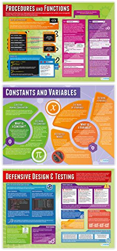 Computer Programming Classroom Posters, Set of 9, EXTRA LARGE 33" x 23.5"