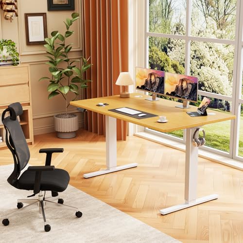 Sweetcrispy Electric Standing Desk, Computer Desk, 48x24 Inch