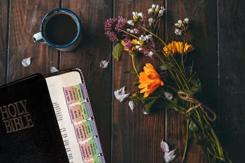 Tabbies Rainbow Catholic Laminated Bible Tabs, 20-Pack Display, 1x1/4in