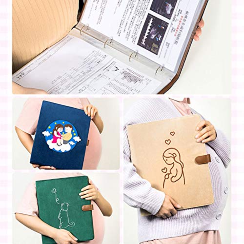 File Organizer Colored Flannel Folders Document Filing Storage Report Presentation Folder Holds 100 Sheets of Paper Suitable for Business or School Colored File Folders (Color : E) (E)