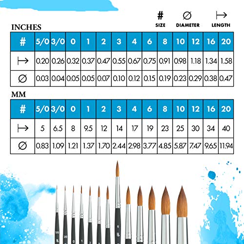 Princeton Aqua Elite, Series 4850, Synthetic Kolinsky Watercolor Paint Brush,Round, Size 6
