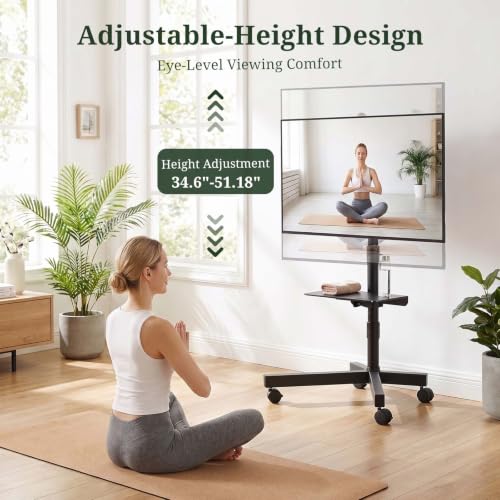 TV Cart Rolling TV Stand, Mobile TV Stand on Wheels for 23-60 Inch TVs