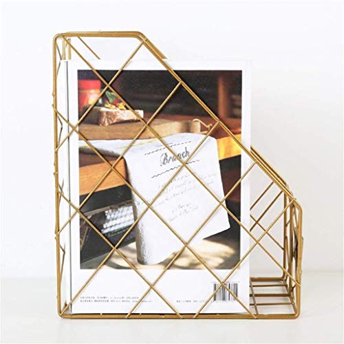 GVRMLDF File Sorter and Magazine Desk Organizer,Metal Holder for Home Office School Pack