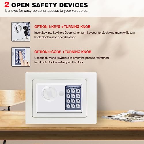 ntumLeap Safe Safebox Steel Digital Safe Box Small Value Safe with Two Keys/Digital Keypad for Home Business Office Hotel/Gray/4.6L Safe,White-4.6L