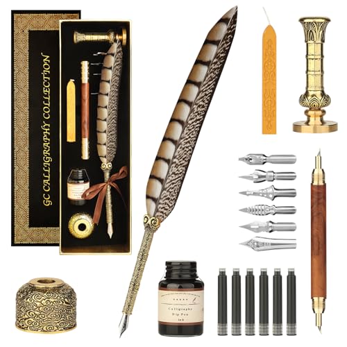 Calligraphy Pen Set - Feather Dip Pen,Dual Tip Calligraphy Fountain Pen