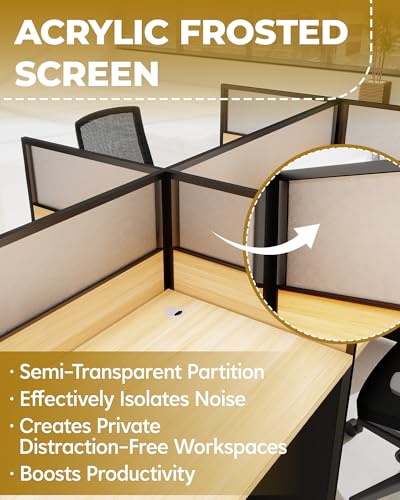 2 Person Cubicle Desk Office Workstation w/Privacy Partitions & Cabinet