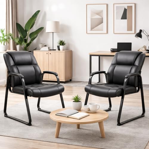 Zoolati Office Guest Chairs, Leather, Sled Base, Set of 2