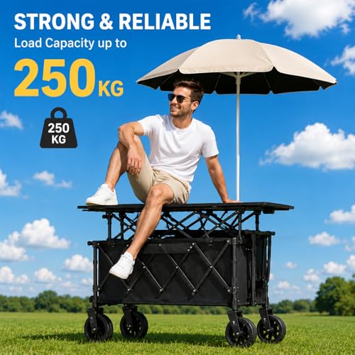Farmers Market Cart with Umbrella, Storage Bins and Wheels