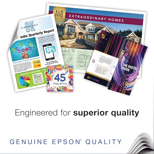 Epson S041069L Matte Presentation Paper, 27 lbs., Matte, 13 x 19 (Pack of 100 Sheets)