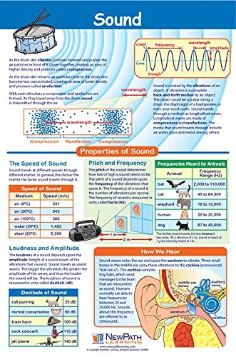NewPath Physical Science Posters, Set/5 (Forces/Motion, Electricity, Magnetism, Sound, Light) - Laminated, Full-Color, 23" x 35" (34-9901)