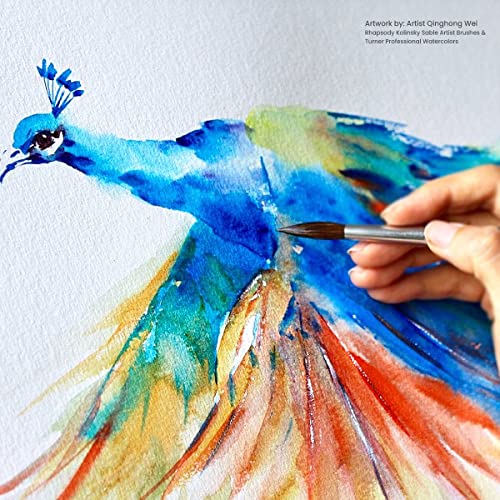 Creative Mark Rhapsody Kolinsky Sable Brushes for Professional Watercolorists - Round # 20 Excellent Spring, Full Belly, Split-Proof Points, Chrome Ferrules, Short Handle, English Sizing