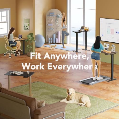 HUANUO 32" Small Electric Standing Desk Adjustable Height, 4 Memory Height Settings, Sit Stand Up Desk for Home Office & Computer Workstation, Black and Gold Frame