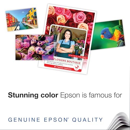 Epson S041069L Matte Presentation Paper, 27 lbs., Matte, 13 x 19 (Pack of 100 Sheets)