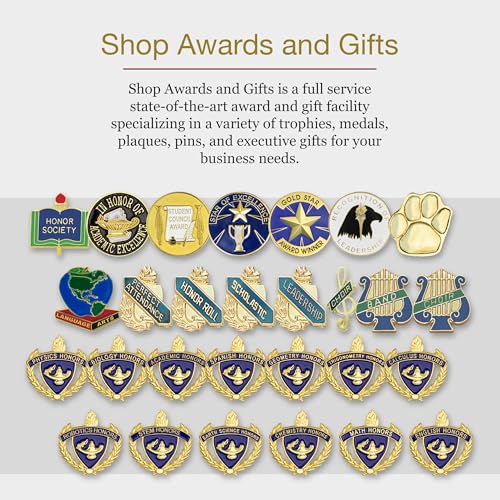 SHOP AWARDS AND GIFTS Star Performer Lapel Pins for Team Appreciation Recognition, Bulk Pack of 18, Poly Bagged, 7/8 Inch