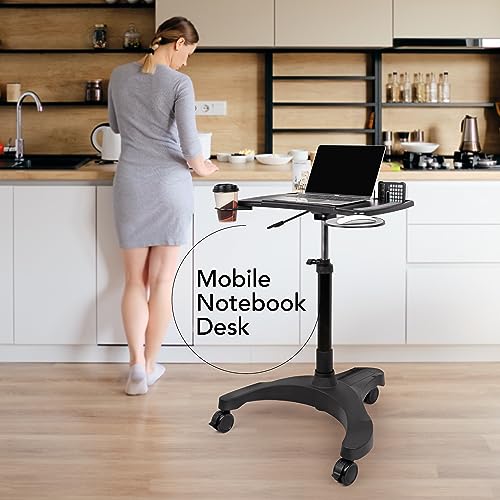 EHO Mobile Laptop Standing Desk Carts on Wheels with Stationery Storage, Pneumatic, Height Adjustable Rolling Stand, Sit to Stand Computer Cart, Workstation for Home, Office, Medical and School