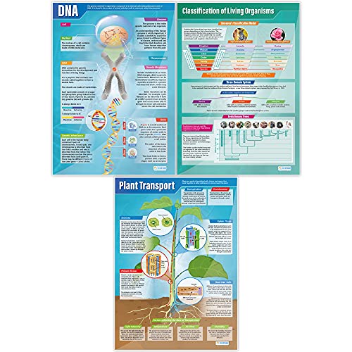 Biology Science Classroom Posters, Set of 13, EXTRA LARGE, 33" x 23"
