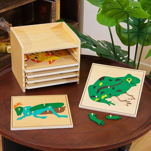Premium Montessori Animal Puzzle Cabinet with 6 Puzzles 15" Horse Fish Turtle Bird Frog Ant– Wooden Zoology Biology Materials for Kids, Educational Toys for Kids Toddler Classroom Homeschool Learning