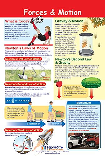 NewPath Physical Science Posters, Set/5 (Forces/Motion, Electricity, Magnetism, Sound, Light) - Laminated, Full-Color, 23" x 35" (34-9901)