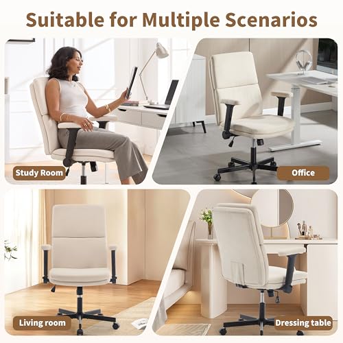 Fizzin Ergonomic Office Chair with Comfortable Back Support Desk Chair